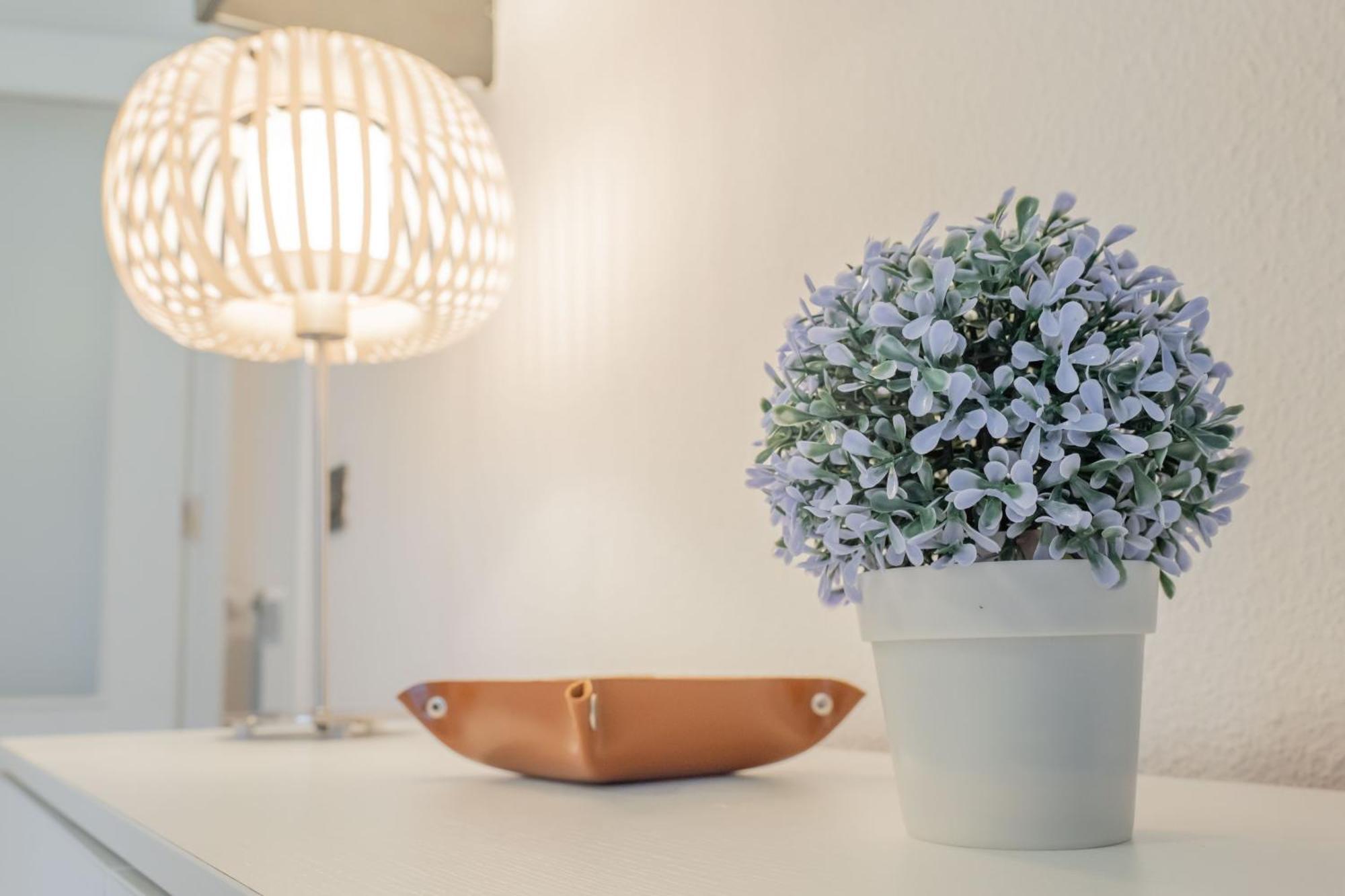 Nabucco Apartment Овиедо Екстериор снимка